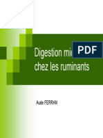 Digestion Microbienne Chez Les Ruminants