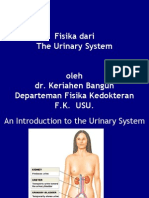 Fisika Dari The Urinary System - Perbaikan 2