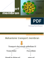 Transport Membran