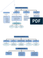 Mapa Conceptual t.1