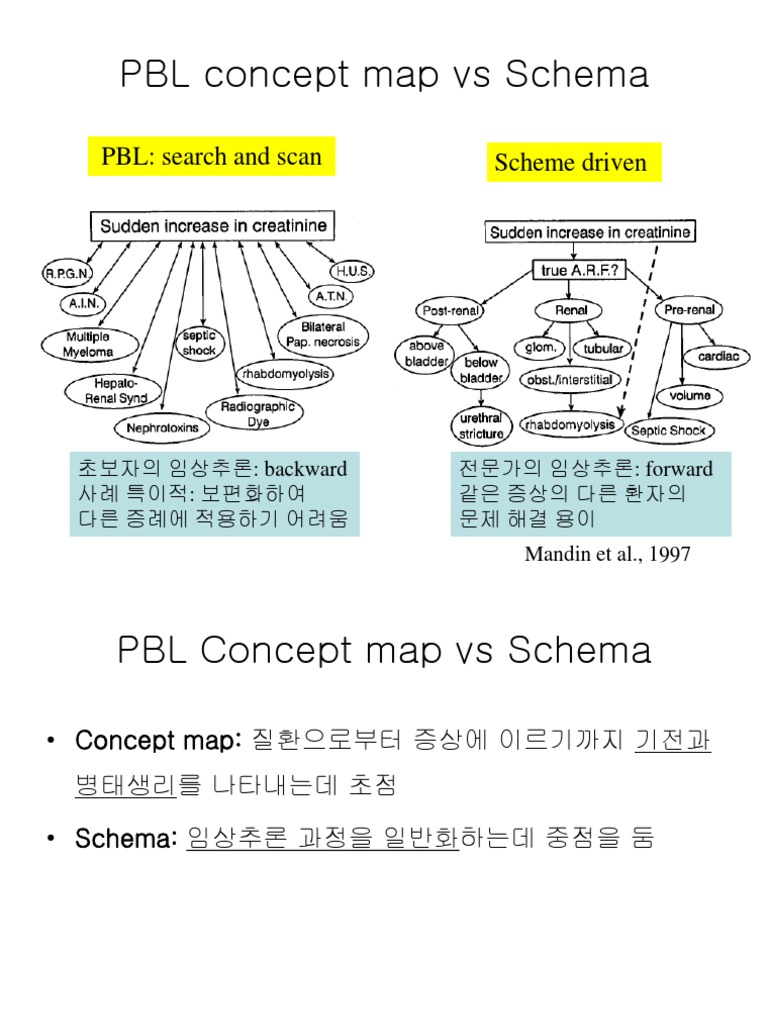 PBL 개념지도와 스키마 예시 | PDF