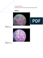 Histologi Organ Indra Khusus