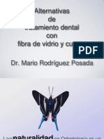 Alternativas TX Dental Fibra de Vidrio