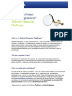 Deloitte Financial Challenge FY14