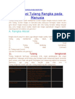 Klasifikasi Tulang Rangka Pada Manusia