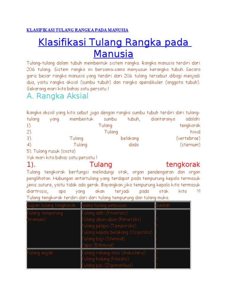 Klasifikasi Tulang Rangka Pada Manusia 2 Klasifikasi Tulang Rangka Pada Manusia 2