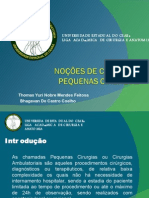 Aula sobre Pequenas Cirurgias - Liga Acadêmica De Cirurgia e Anatomia - Universidade Estadual do Ceará