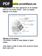 Download Breast Feeding by aaz220 SN17214148 doc pdf