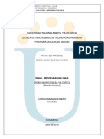 Modulo de Programacion Lineal 2010