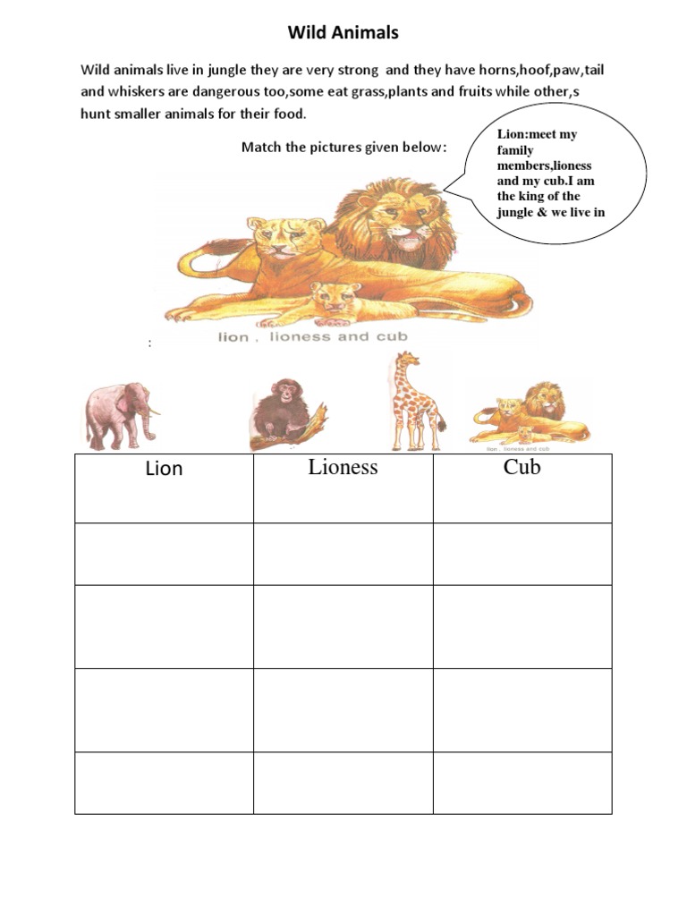 wild animals preprimary worksheet margaret lenny rebello pdf