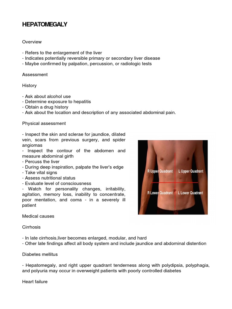 Hepatomegaly 1 Liver Hepatitis