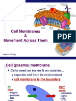 cellmembraness