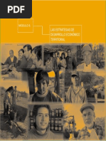 Las Estrategias de Desarrollo Economico Territorial_chile