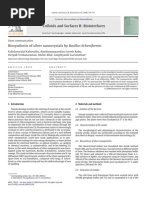 Download Biosynthesis Ag nano Bacillus Licheniformis by silverghostp SN17219433 doc pdf