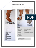 Fisa de Activ Nr.3