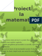 Proiectul