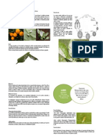 Cartilla. Mosquita Blanca Algodonosa de Los Citricos