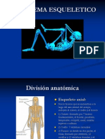 Curso de Paramedico - Sistema Esqueletico