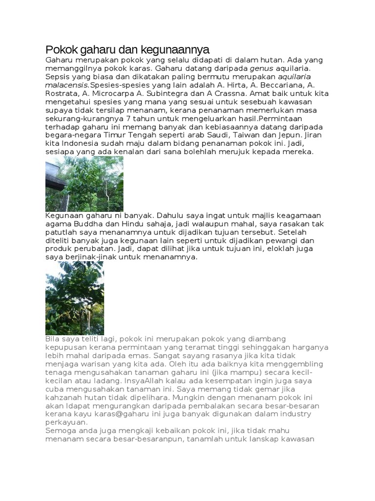 5 Jenis Pokok Pdf