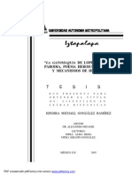 Uami13667 PDF