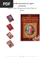 Baralho Encantado Da Cigana Carmencita