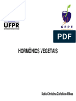 5 Hormonios Vegetais Geral