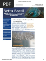 A alimentação do Betta splendens - Zero a 30 dias