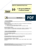 ADM 10 - A Responsabilidade Civil Do Estado