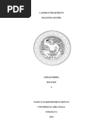 Download Laporan Diagnosa Klinik- Ahmad Ridha by Ahmad Ridha SN172300149 doc pdf