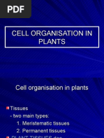 Download 24 Cell Organisation in Plants by IMELDA  SN17230022 doc pdf