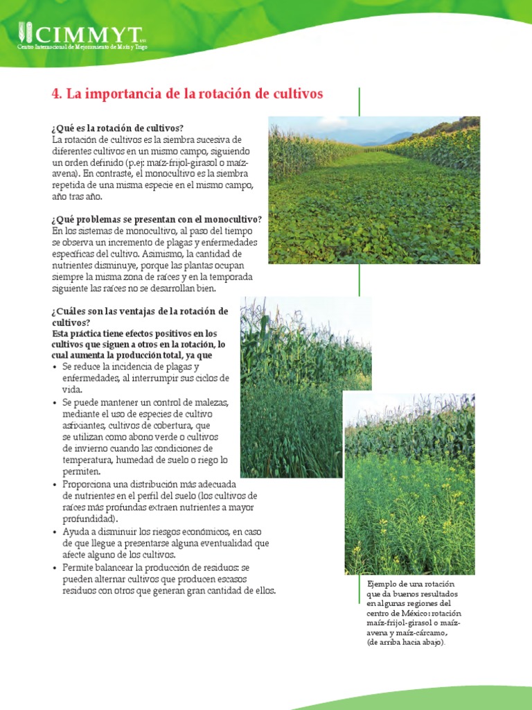 Ventajas de la rotación de cultivos | PDF | Fertilizante | Agricultura, image size:768x1024