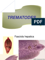 Trematode s