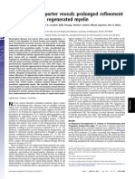 Powers - Horner Et Al. 2013 Remyelination Reporter Reveals Prolonged Re Nement of Spontaneously Regenerated Myelin