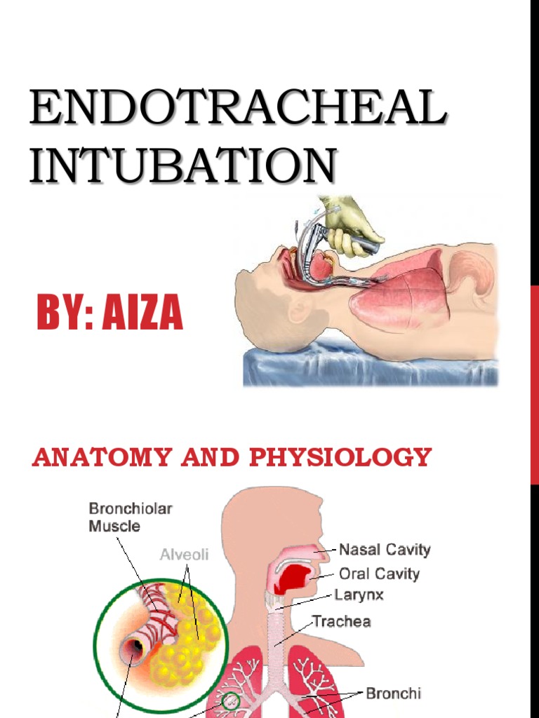 Intubation PDF Surgery Anesthesia