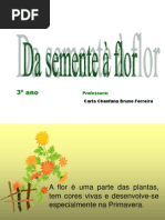 Da Semen Flor