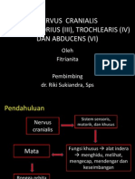 NERVUS KRANIALIS