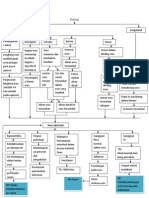 Pathway Ileus