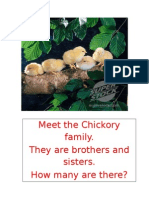 Chickory Family