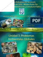 Problemas Ambientales