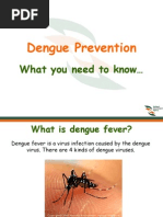 Download Guidelines Prevention of Mosquito Breeding by Hasitha Hemarathne SN17250141 doc pdf