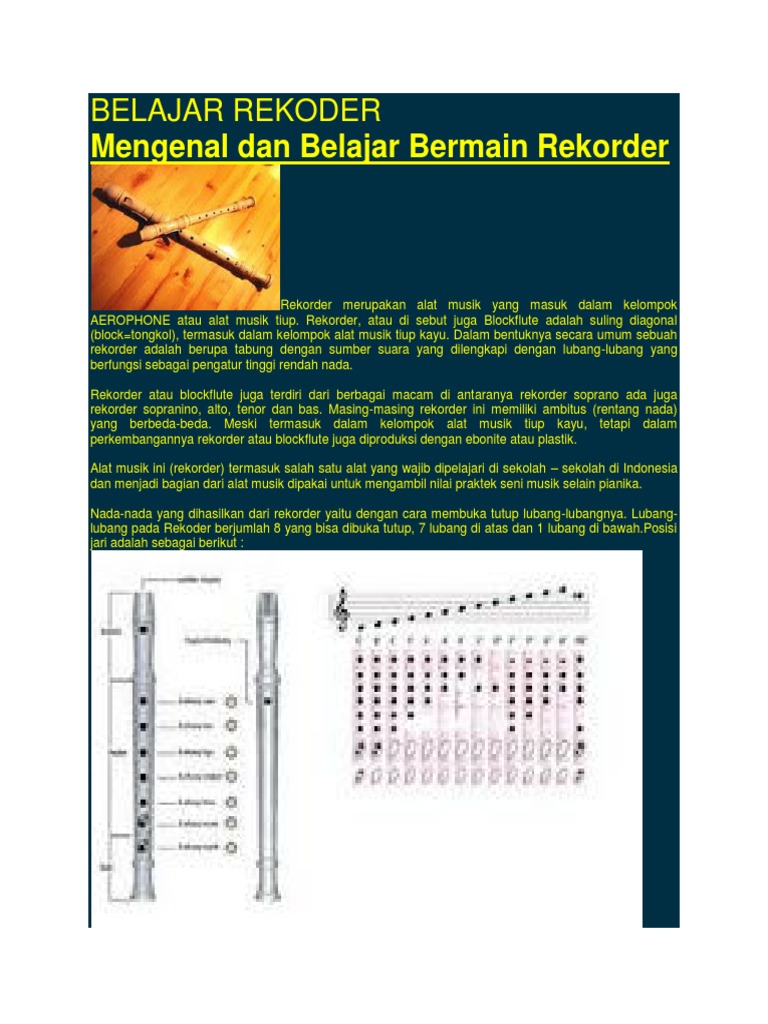 Rekorder Dan Pianika Termasuk Alat  Musik  Berbagai Alat 