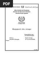 Comment rédiger un rapport de stage de Master 1  Dé  Microsoft Word