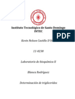 Determinacion de Trigliceridos