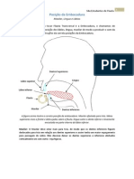 Flauta Transversal - Posição da embocadura