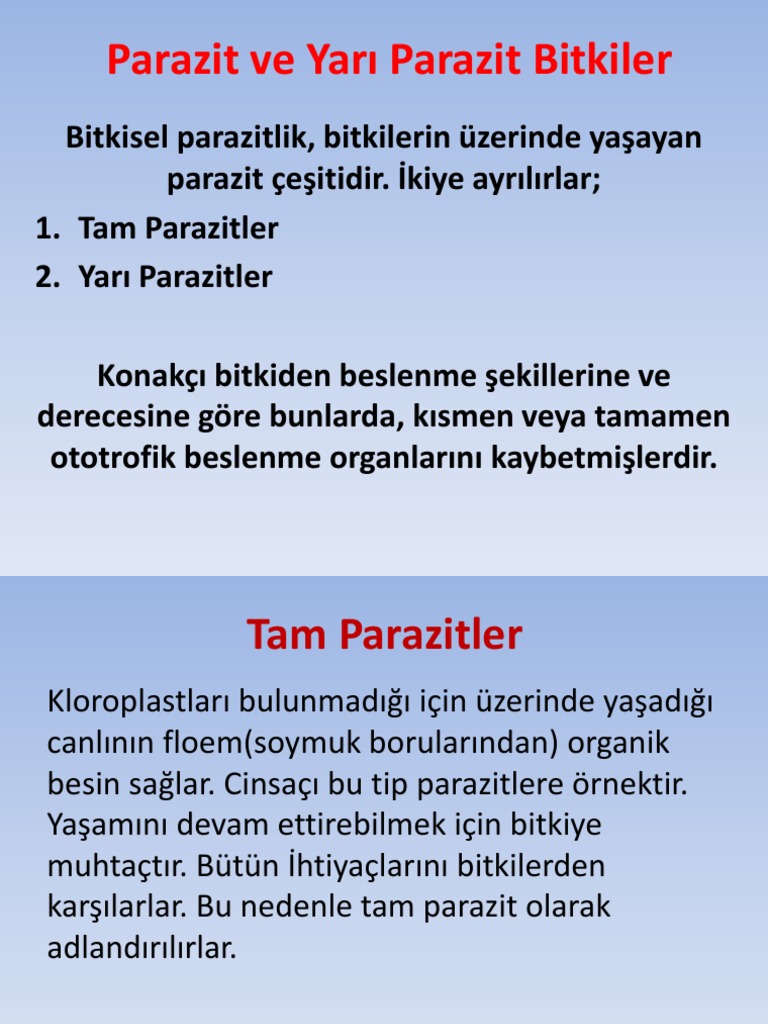 Parazit Ve Yarı Parazit Bitkiler | PDF