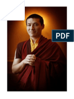 Words of Advice To The Dhagpo Sangha Karmapa Thaye Dorje PDF