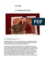 Ein Buddha Im Silicon Valley. Interview Mit Dem 17. Gyalwa Karmapa Thaye Dorje PDF