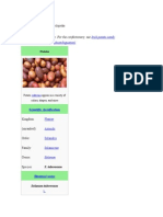 Potato: Potatoes Navigation Search