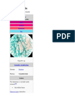 Cyanobacteria: Navigation Search