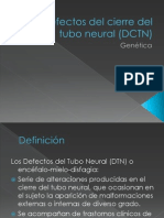 Defectos Del Cierre Del Tubo Neural (DCTN